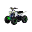 Квадроцикл Mikilon Rapide 110 (Белый, , , )