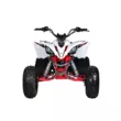 Квадроцикл Mikilon Rapide 125 S (Белый, , , )