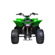 Квадроцикл Mikilon Rapide 125 S (Зеленый, , , )