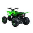 Квадроцикл Mikilon Rapide 125 S (Зеленый, , , )