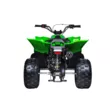 Квадроцикл Mikilon Rapide 120 EFI (vin) (Зеленый, , , )