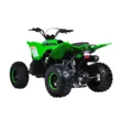 Квадроцикл Mikilon Rapide 120 EFI (vin) (Зеленый, , , )