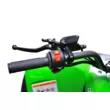 Квадроцикл Mikilon Rapide 120 EFI (vin) (Зеленый, , , )