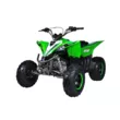 Квадроцикл Mikilon Rapide 120 EFI (vin) (Зеленый, , , )