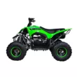 Квадроцикл Mikilon Rapide 120 EFI (vin) (Зеленый, , , )