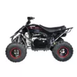 Квадроцикл Mikilon Rapide 120 EFI (vin) (Черный, , , )