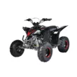Квадроцикл Mikilon Rapide 120 EFI (vin) (Черный, , , )