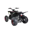 Квадроцикл Mikilon Rapide 120 EFI (vin) (Черный, , , )