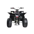 Квадроцикл Mikilon Rapide 120 EFI (vin) (Черный, , , )