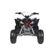 Квадроцикл Mikilon Rapide 120 EFI (vin) (Черный, , , )