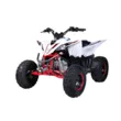 Квадроцикл Mikilon Rapide 120 EFI (vin) (Белый, , , )