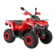 Квадроцикл Mikilon Hammer 200 L Pro / Pro-R (Красный стандартная )
