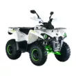 Квадроцикл Mikilon Hammer 200 L Pro / Pro-R (Белый стандартная )