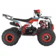 Квадроцикл ATV WELS Thunder 125 EVO (Белый, , , )