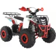 Квадроцикл ATV WELS Thunder 125 EVO (Белый, , , )