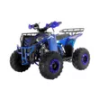 Квадроцикл ATV WELS Thunder 125 EVO (Синий, , , )