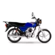 Мотоцикл Bajaj Boxer 100 ES (Синий, , )