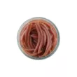 Червь Berkley Gulp Alive Angle Worm 5см. (Brown )