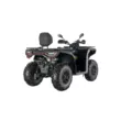 Квадроцикл AODES Pathcross ATV 525 L PRO двухместный 2025 (Чёрный,  )