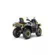 Квадроцикл AODES Pathcross ATV 1000 L MUD PRO EPS двухместный 2025 (Серый,  )