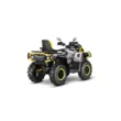 Квадроцикл AODES Pathcross ATV 1000 L MUD PRO EPS двухместный 2025 (Серебристый,  )
