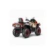 Квадроцикл AODES Pathcross ATV 1000 L MUD PRO EPS двухместный 2025 (золотой,  )