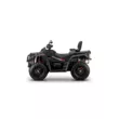 Квадроцикл AODES Pathcross ATV 1000 L EPS двухместный (Черный, , Стандартная, )