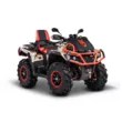 Квадроцикл AODES Pathcross ATV 1000 L MUD PRO EPS SE двухместный