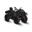 Квадроцикл AODES Pathcross ATV 650 L MUD PRO EPS двухместный 2025 (Черный,  )