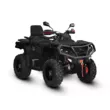 Квадроцикл AODES Pathcross ATV 800 L EPS двухместный 2025 (Черный,  )