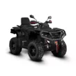 Квадроцикл AODES Pathcross ATV 1000 L EPS двухместный 2025 (Черный, стандартная )
