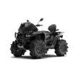 Квадроцикл Segway AT10 LXW MUD (черный/черный,  )