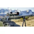 Прицел Swarovski GEN.II dS 5-25х52 P L