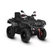 Квадроцикл AODES Pathcross ATV 650 L EPS двухместный 2025 (Серый,  )