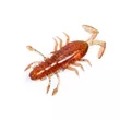 Приманка Bait Breath U30 Getter Bug 2
