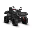 Квадроцикл AODES Pathcross ATV 1000 L EPS двухместный 2025 (Серый, стандартная )