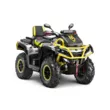 Квадроцикл AODES Pathcross ATV 1000 L MUD PRO EPS LCD двухместный (Серебристый,  )