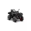 Квадроцикл AODES Pathcross ATV 650 L Basic EPS двухместный (Черный, , Стандартная, )