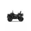 Квадроцикл AODES Pathcross ATV 650 L Basic EPS двухместный (Черный, , Стандартная, )