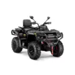 Квадроцикл AODES Pathcross ATV 650 L EPS двухместный 2026 (Черный,  )