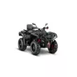Квадроцикл AODES Pathcross ATV 800 L PRO EPS двухместный 2025 (Черный,  )