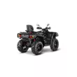 Квадроцикл AODES Pathcross ATV 800 L PRO EPS двухместный 2025 (Черный,  )