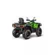 Квадроцикл AODES Pathcross ATV 800 L PRO EPS двухместный 2025 (Зеленый,  )