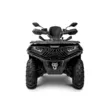 Квадроцикл Loncin Xwolf 700L (Black,  )