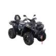 Квадроцикл РМ 800 T Трофи (Черный, , , )
