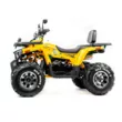 Квадроцикл MOTOLAND ATV 200 WILD TRACK X PRO (Машинокомплект) (Желтый, , , )