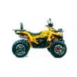 Квадроцикл MOTOLAND ATV 200 WILD TRACK X PRO (Машинокомплект) (Желтый, , , )