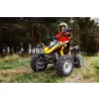 Квадроцикл RM Рысь 150
