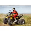 Квадроцикл RM Рысь 150