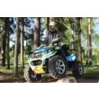 Квадроцикл РМ 800 DUO EPS